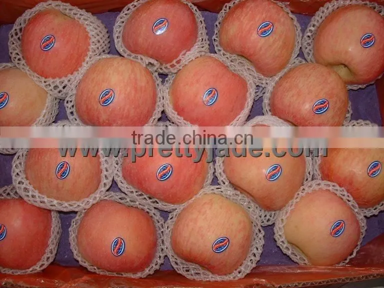 Chinese blush red Fuji apple