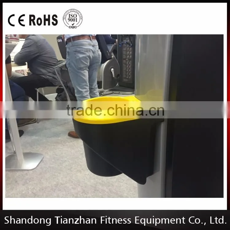 2016 New Design Triceps Dip Fitness Equipment For GYM USE From TZfitness