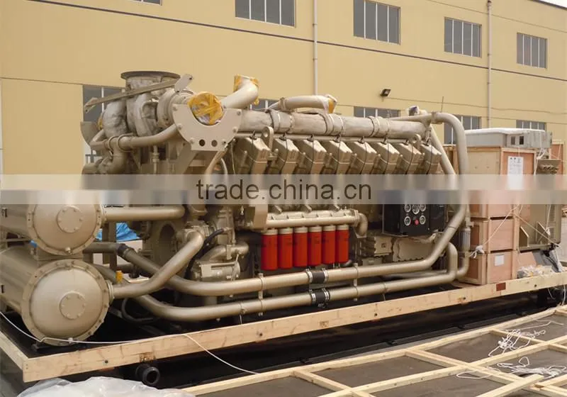 ISO approved 500kw /625kva container gas genset for Iran market
