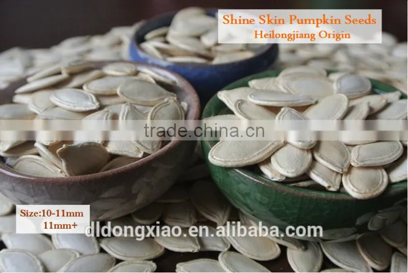Organic Pumpkin Seeds in Shell