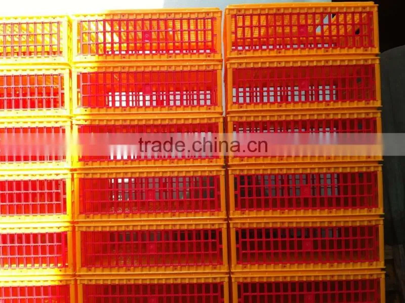 plastic chicken layer cage for sale