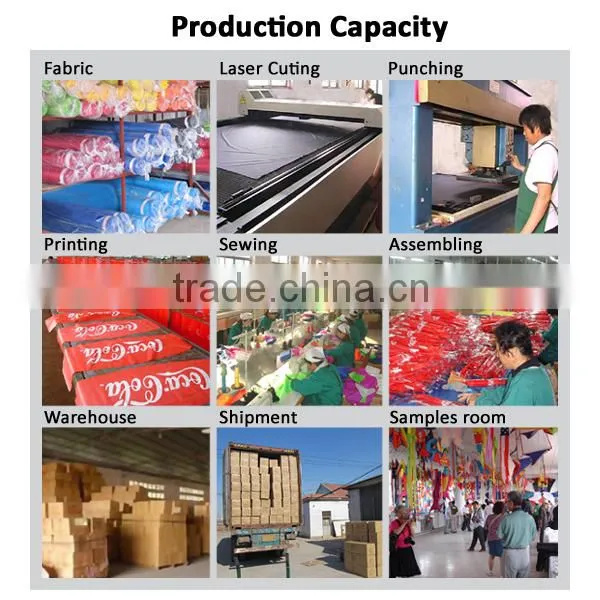 inflatable kite, show kite,motorbike kite from Kite factory
