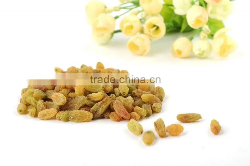 xinjiang dried raisins hami king raisin dried grapes factory supply dried fruits