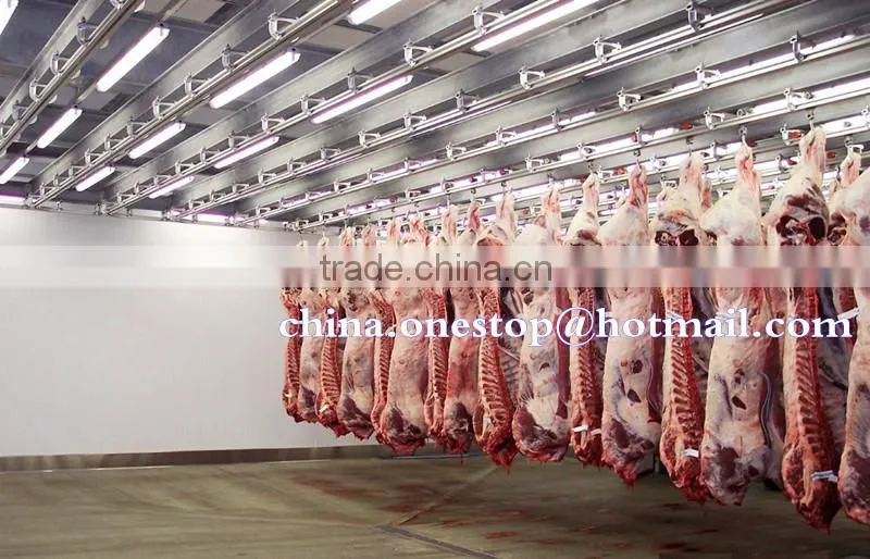 Slaughter Line for Sheep Cattle and Pig Abattoir Machine Slaughter Line for Swine and Bovine