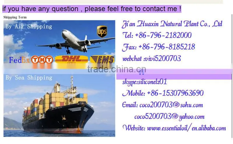 Best Quality Vegetable Extract Garlic Extract/ nautral garlic oil