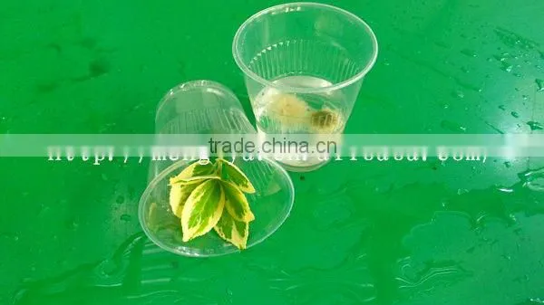 6oz disposable plastic beverage cup