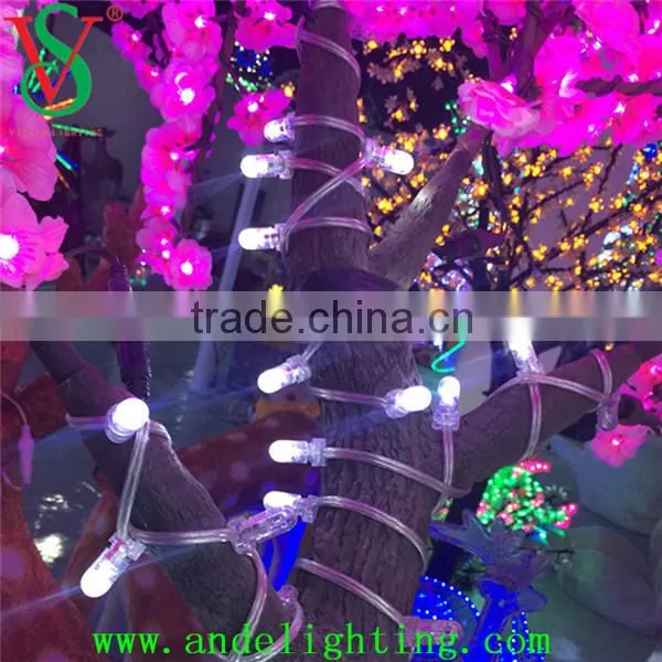 DC 12V China suppliers replaceable Christmas decoration LED belt clip light