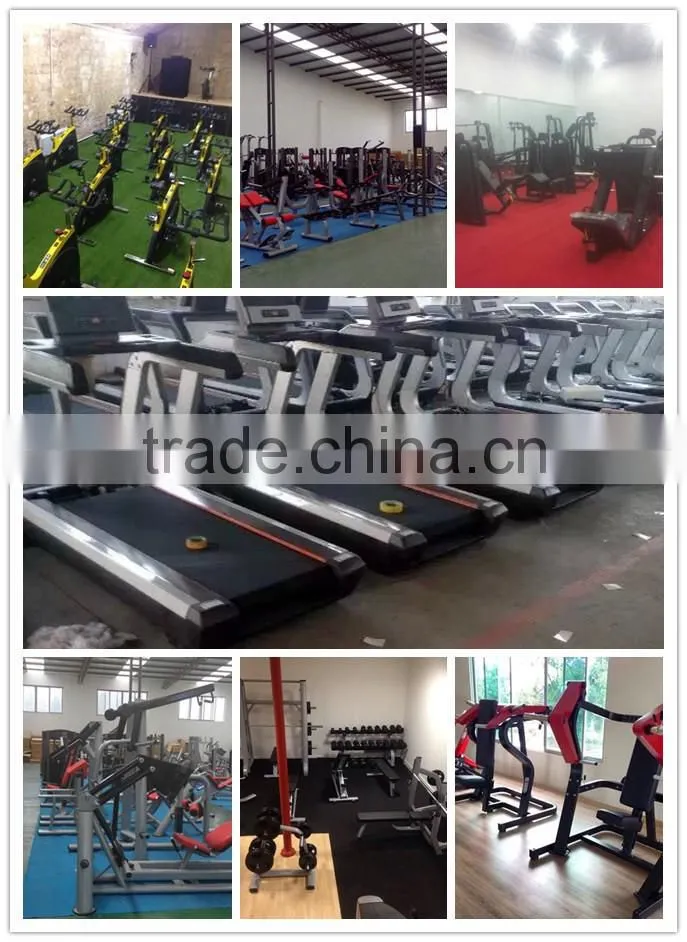 Best quality precor gym equipment Lateral Raise SP03 for sale