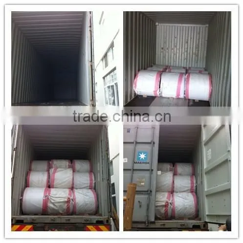 PP SACK Raw Material PP Woven Bag Fabric Rolls