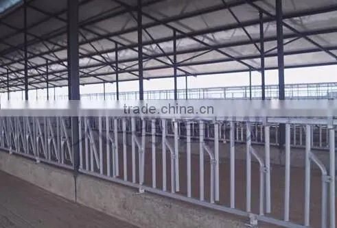 Animal Husbandry Equipment Cows Neck Cangue
