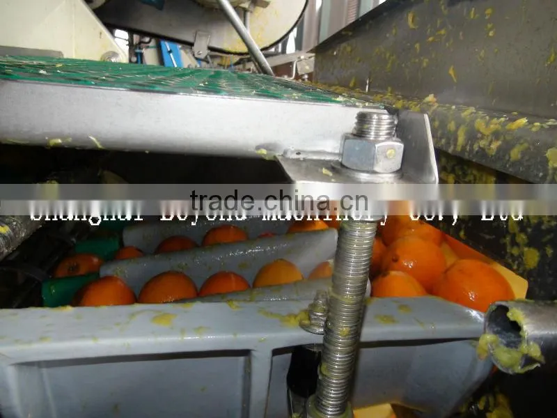 200 tons per day automatic Orange citrus processing line fruit juice production line