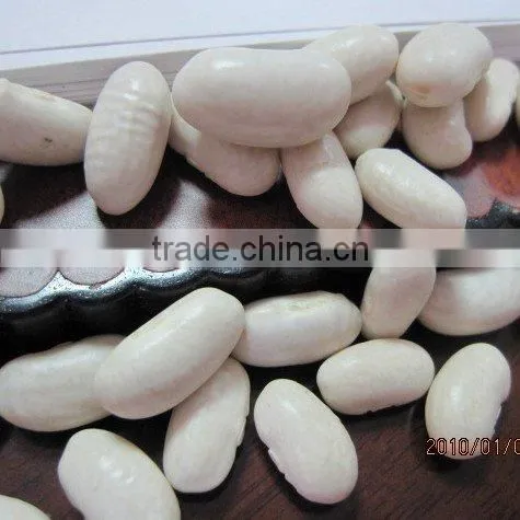CHINA white kidney bean (bashaki ) 2010