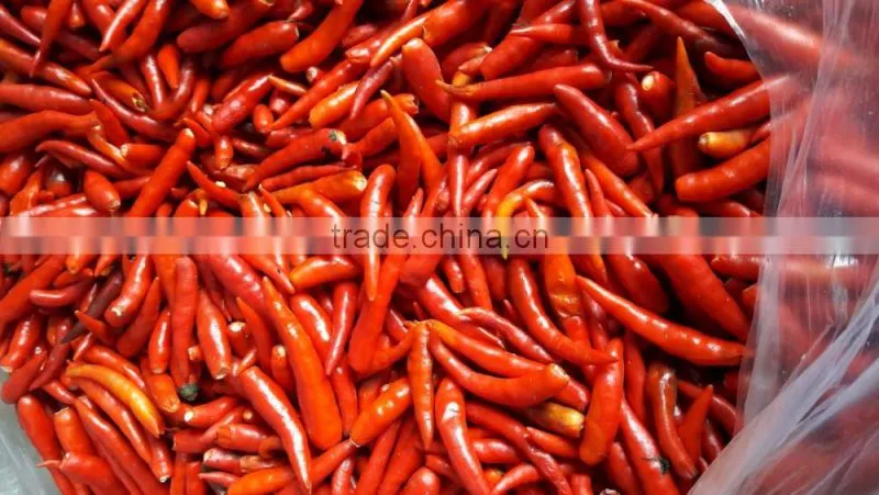 HOT PEPPER, CHILLI +84963818434 whatsapp