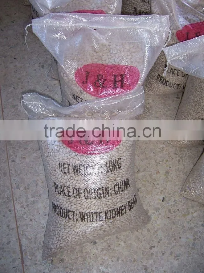 Best Factory Price of White Kidney Beans