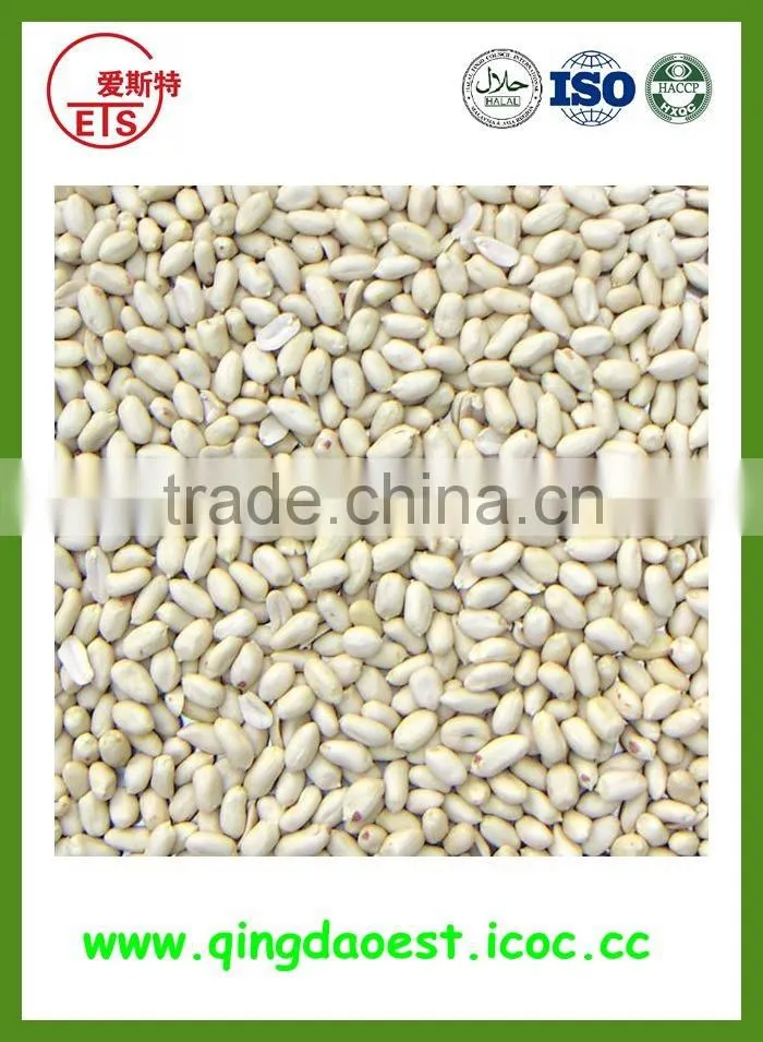 Wholesale high quality Chinese best price blanched peanut