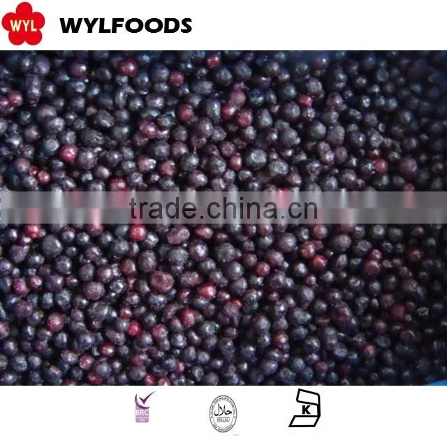 IQF frozen blueberry high quality hot sales
