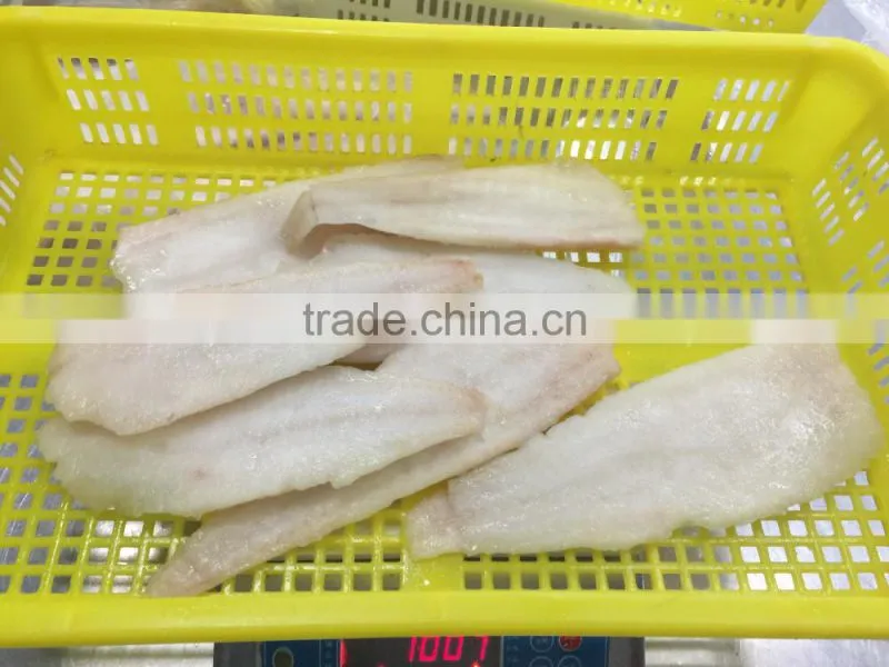 Frozen alaska pollock fish fillet for thailand from china seafood exporter