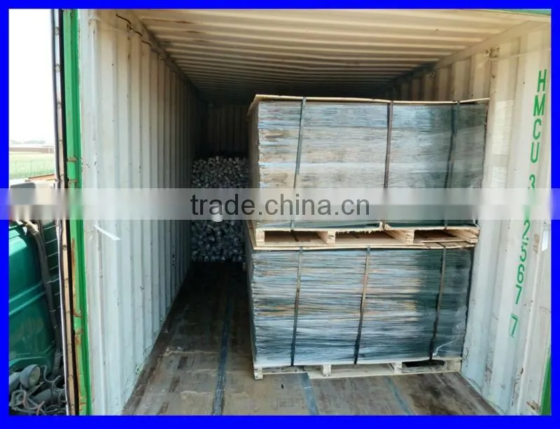Professional Anti-climb decorative fence/garden fence