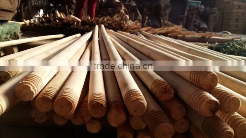 Dry natural broom handle wood factory in Vietnam