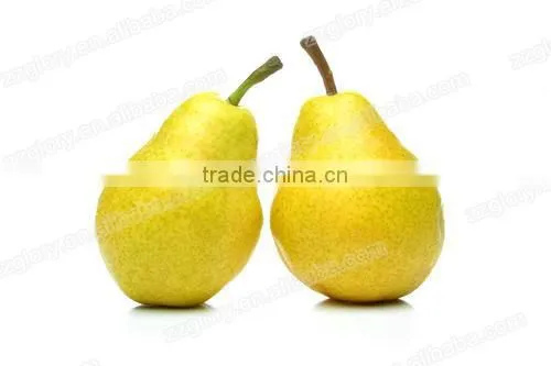 CE Approved High Capacity Automatic Apple Peeler Machine, Pear Peeler Machine