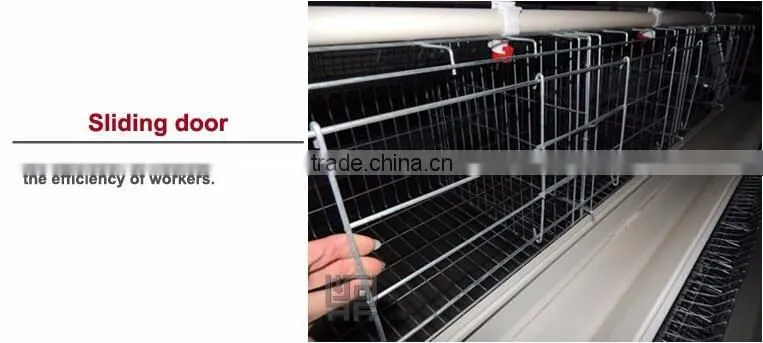 H type 56 chickens broiler chicken cage sale for Tanzania