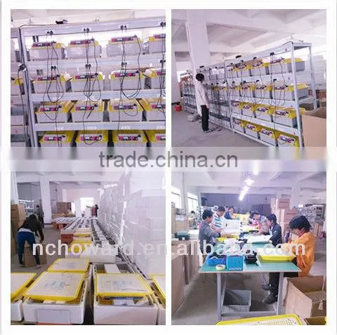 HHD household full automatic mini 48 eggs poultry incubator for sale with good quality EW-48