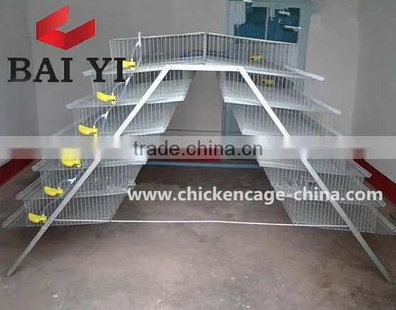 Quail Egg Cage For Quail Egg Production