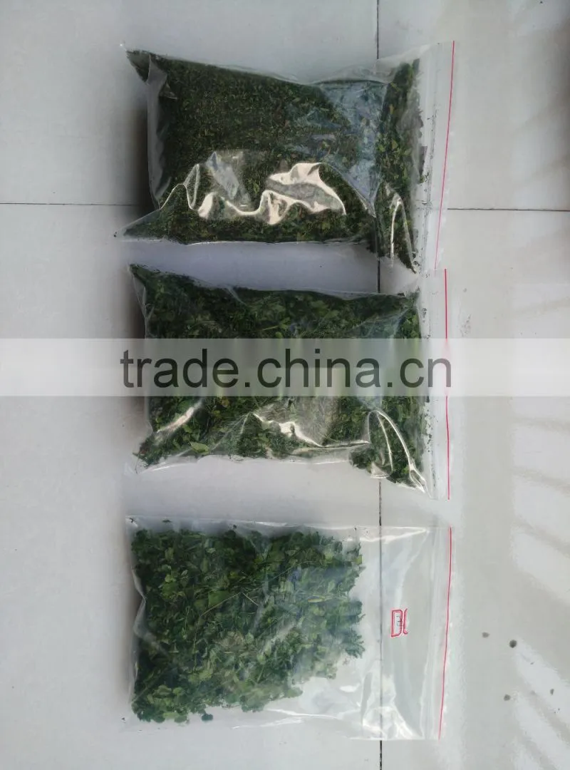 Industrial continuous type moringa leaf microwave dryer/drying machine