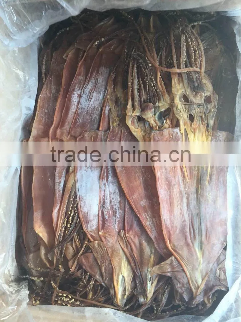 dried illex squid
