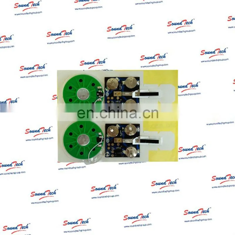 High quality voice chip
