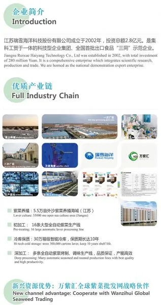 Jiangsu Ruixue Haiyang Technology Co.,ltd company overview - view 1