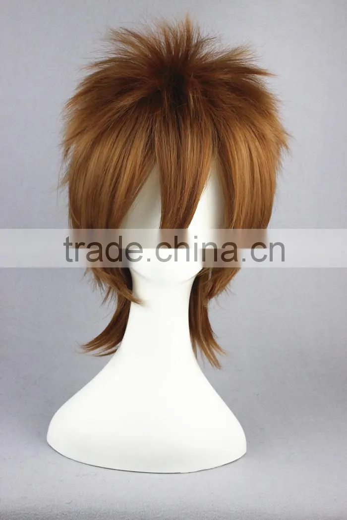 High Quality 35cm Short Straight Katekyo Hitman Reborn wig Sawada Tsunayoshi Brown wig Synthetic Anime Wig Cosplay Hair Wigs