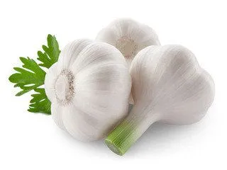 Hotting Selling Garlic Harvester