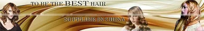 100% Remy Human Hair Clip In Hair Extension