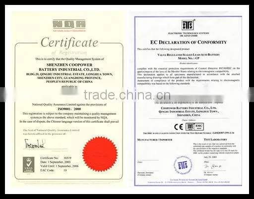 Sealed Lead acid battery 6V12AH, UPS battery