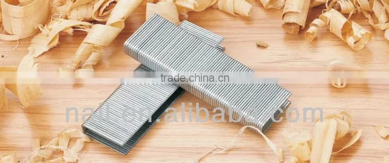 14b staples 17GA