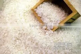 Instant Rice/Nutritional Rice Food machine Line