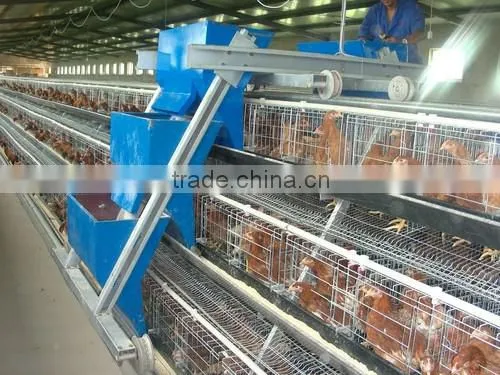 Cheap cage for growing broiler / broiler battery cage / broiler cage