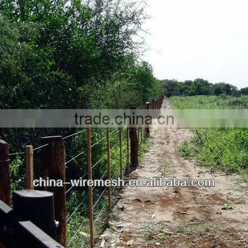 Best Price factory 2.4mm*3.0mm wire oval galvanized