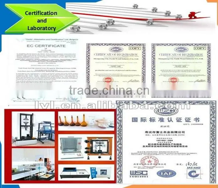Formwork H20 Beam