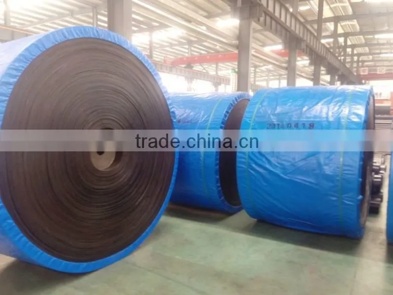 Large Capacity Vibrating Screen Plant for Sand Rubber Conveyor Belt
