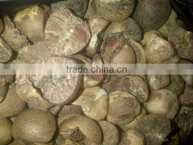 Dried Betel Nut High Quality From Viet Nam