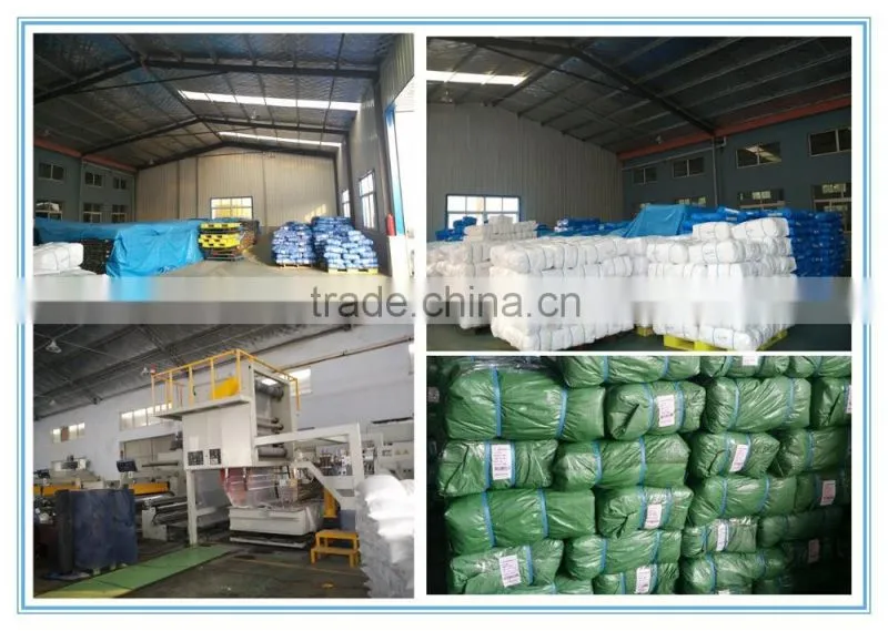 PE tarpaulin in roll, bale, carton packing