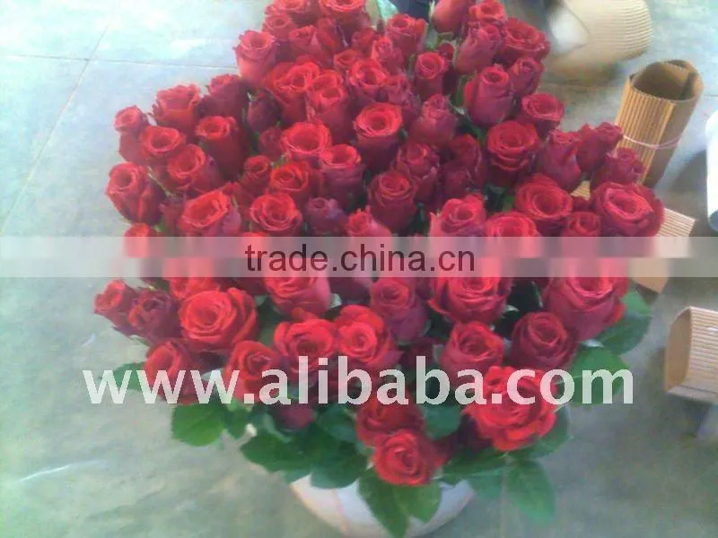 Fresh cut Fresh cut hot Roses