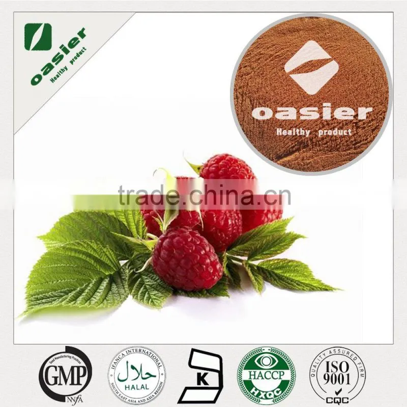 Hot sales cheap bulk wholesale raspberry fruit powder