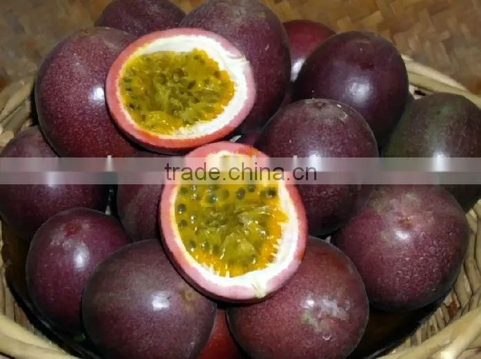 Canned Passion Fruits in syrup