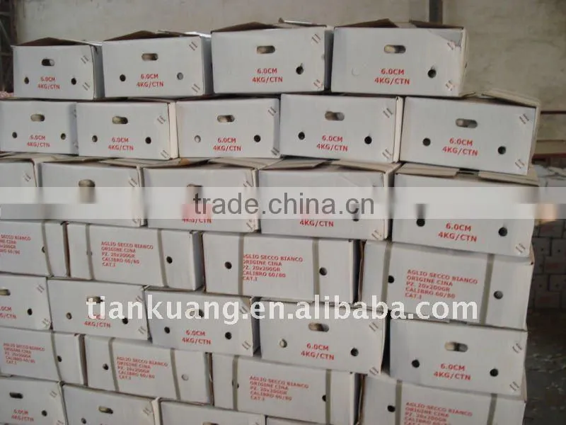 2011 china export garlic