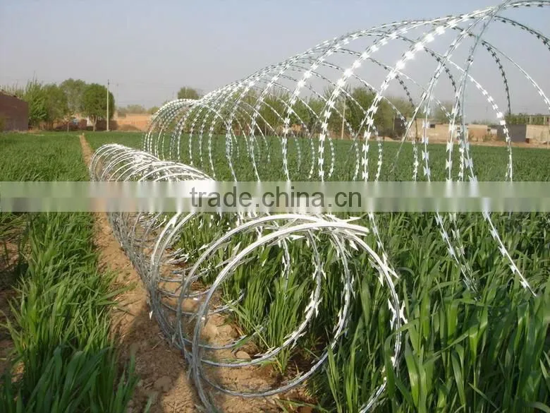 galvanized barbed razor wire mesh