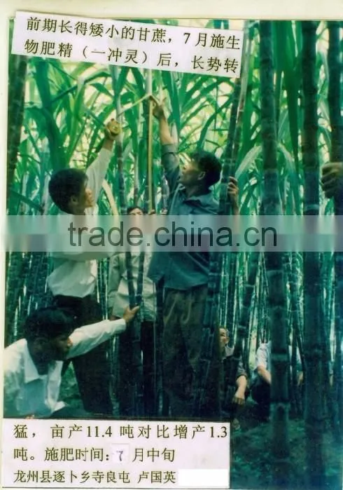 Powder Bio microbial amino acid chelate magnesium fertilizer trace element