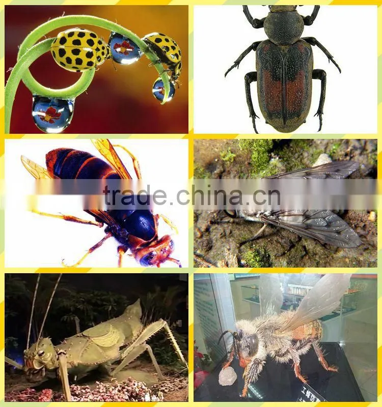 Gaint insect robot models on sale